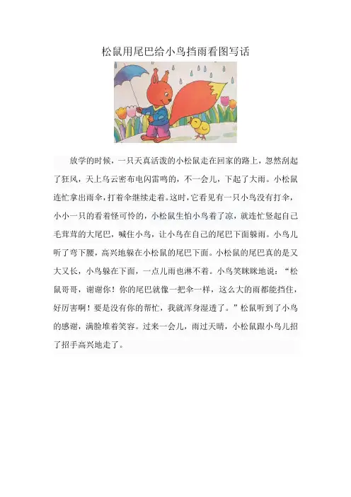 松鼠用尾巴给小鸟挡雨看图写话