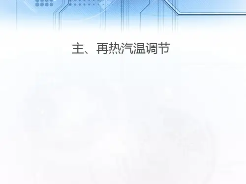 主再热蒸汽系统课件