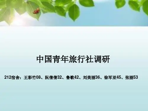 中国青年旅行社调研分析
