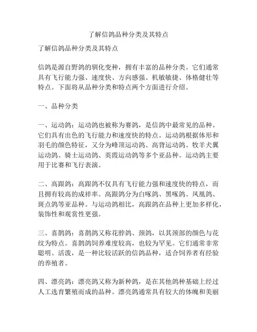 了解信鸽品种分类及其特点