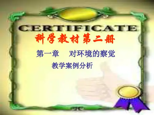 光的反射和折射复习--浙教版(整理2019年11月)