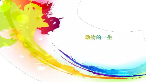 新大象版三年级科学上册 2.4动物的一生 课件