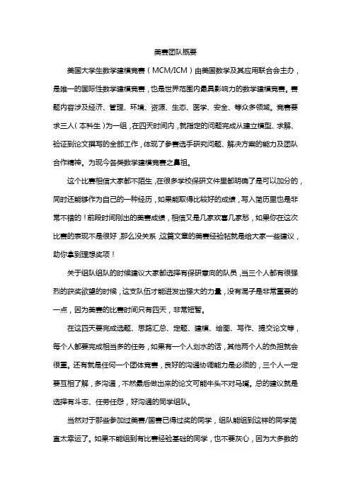 美赛团队概要
