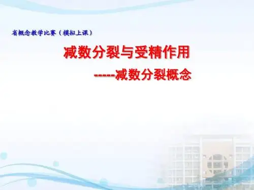 概念教学课件(减数分裂)