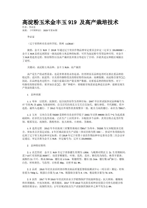 高淀粉玉米金丰玉919 及高产栽培技术