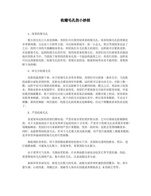 收缩毛孔的小妙招