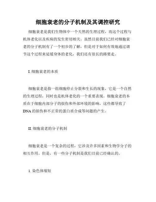 细胞衰老的分子机制及其调控研究