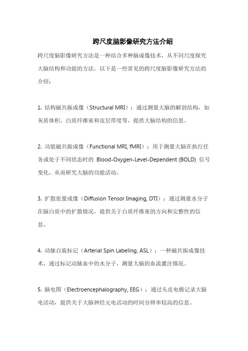 跨尺度脑影像研究方法介绍