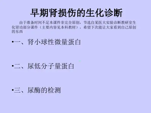 早期肾损伤的生化诊断由于准备时间不足本ppt课件非完全原创_1