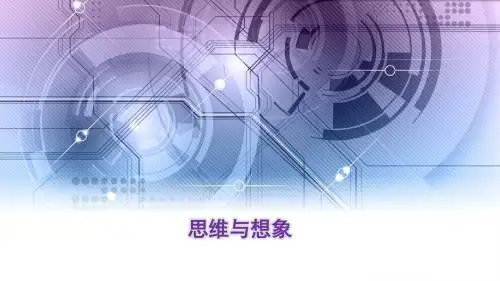 5第五章 思维与想象(教育科学出版社)