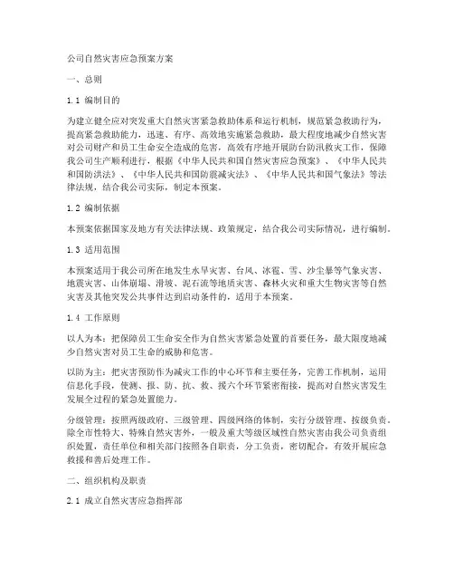 公司自然灾害应急预案方案