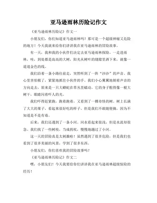 亚马逊雨林历险记作文
