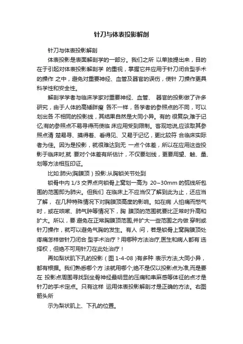 针刀与体表投影解剖
