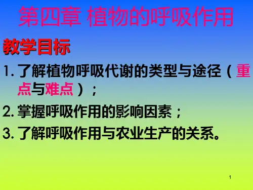 植物生理学04呼吸作用PPT课件