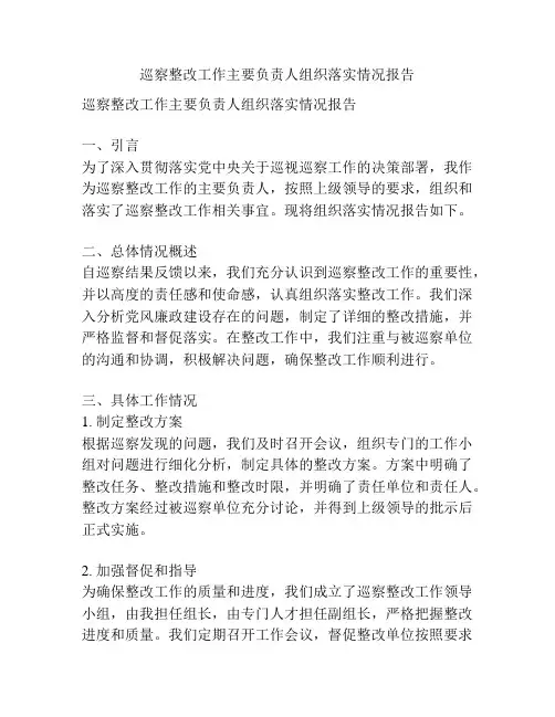 巡察整改工作主要负责人组织落实情况报告