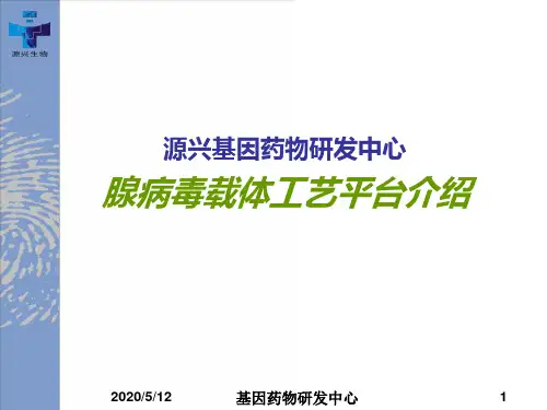 腺病毒载体工艺平台介绍(PPT37张)