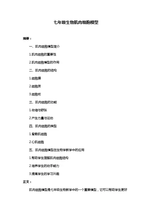 七年级生物肌肉细胞模型