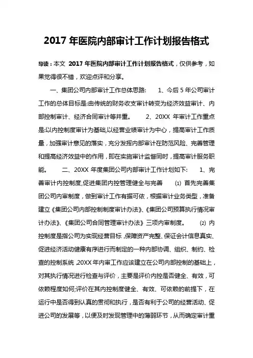 2017年医院内部审计工作计划报告格式