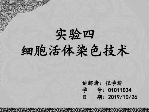实验三—细胞的活体染色 共25页