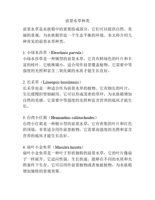 前景水草种类