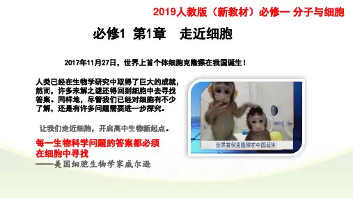 (优)2019新教材1-1细胞是生命活动的基本单位