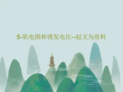 5-肌电图和诱发电位--赵文为资料PPT文档共295页