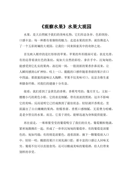 《观察水果》水果大观园