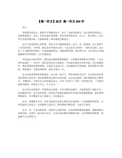 【高一作文】远方 高一作文800字