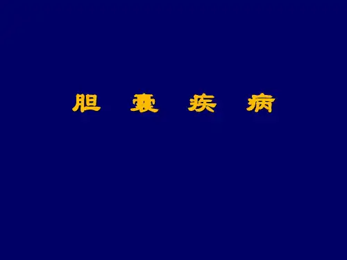 胆囊疾病PPT