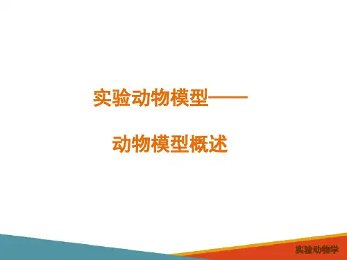 实验动物模型—实验动物模型分类