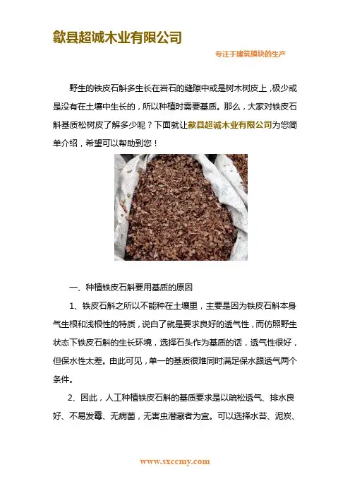 铁皮石斛基质松树皮