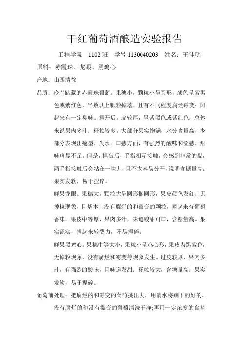 葡萄酒发酵实验报告