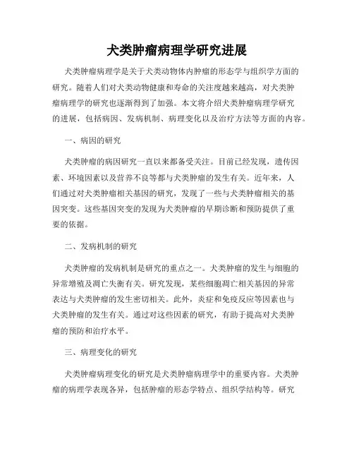 犬类肿瘤病理学研究进展
