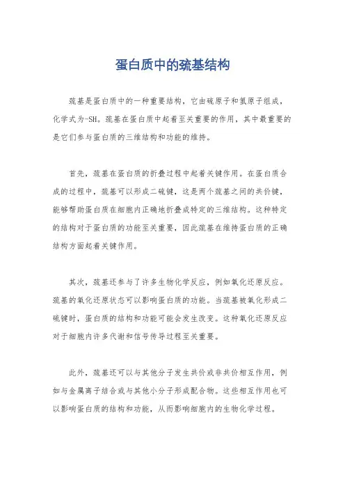 蛋白质中的巯基结构