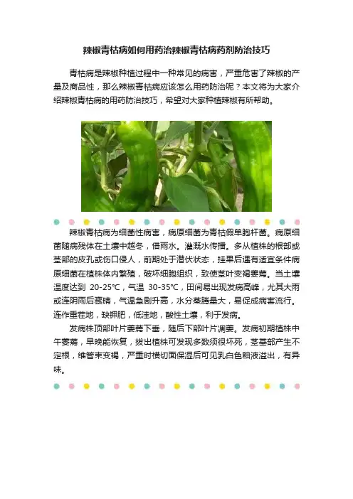 辣椒青枯病如何用药治辣椒青枯病药剂防治技巧