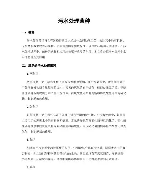 污水处理菌种
