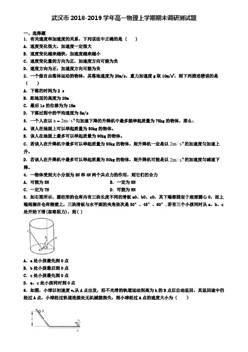 武汉市2018-2019学年高一物理上学期期末调研测试题
