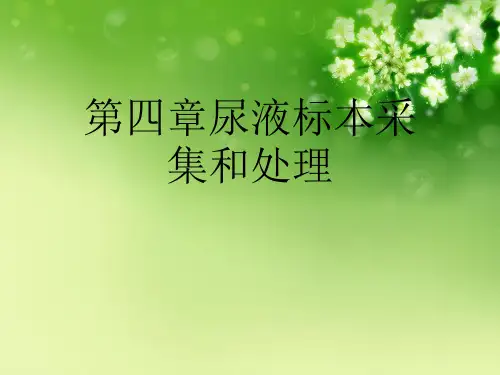 第四章尿液标本采集和处理优秀课件