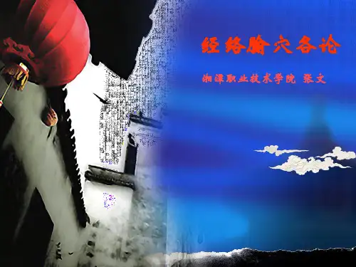 经络腧穴各论