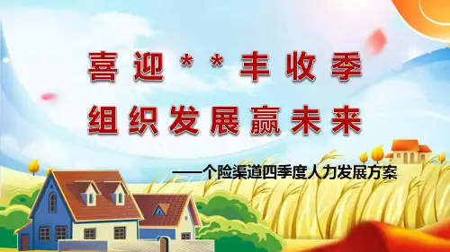 19年个险渠道四季度人力发展方案30页