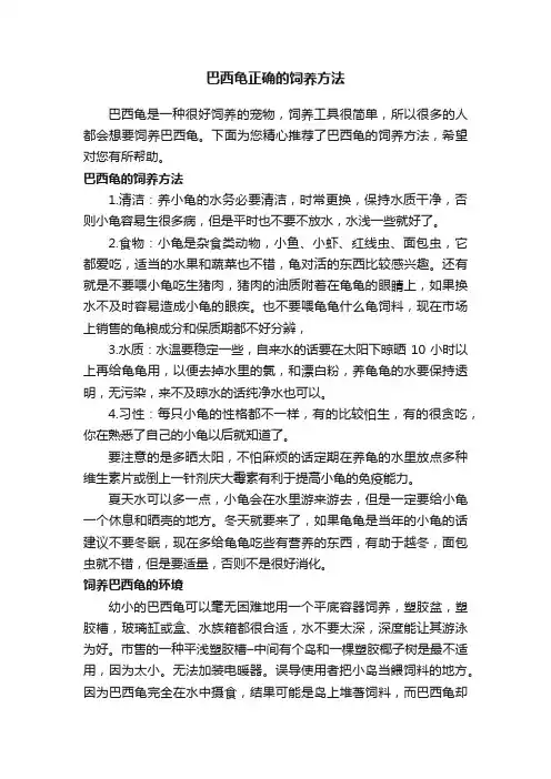 巴西龟正确的饲养方法