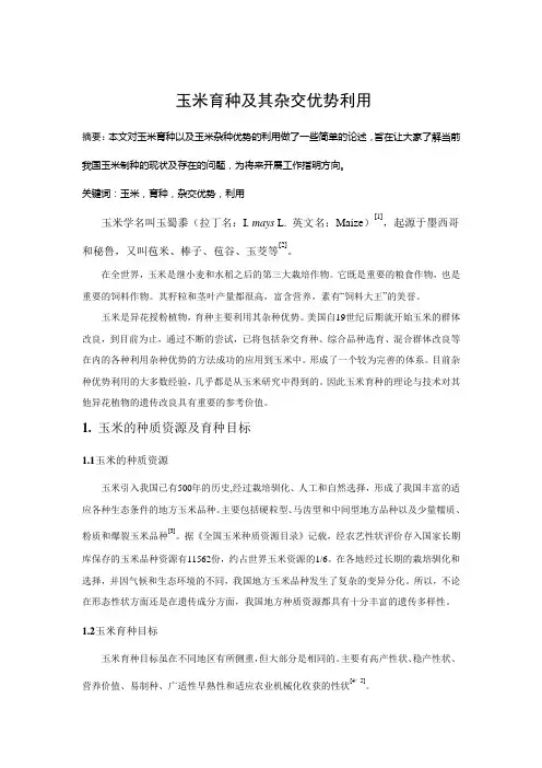 玉米育种及其杂交优势利用