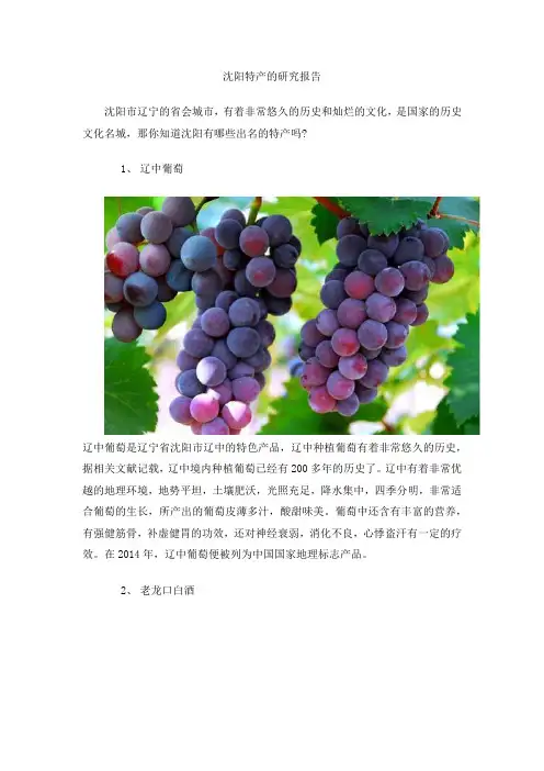 沈阳特产的研究报告