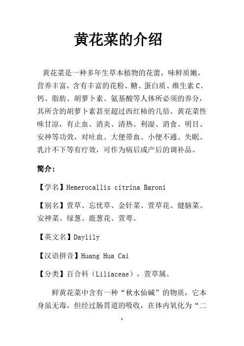黄花菜的介绍