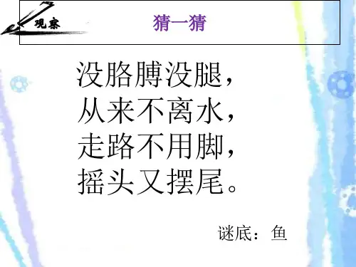 四年级下册第9课《用彩墨画鱼》优秀课件