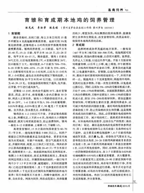育雏和育成期本地鸡的饲养管理