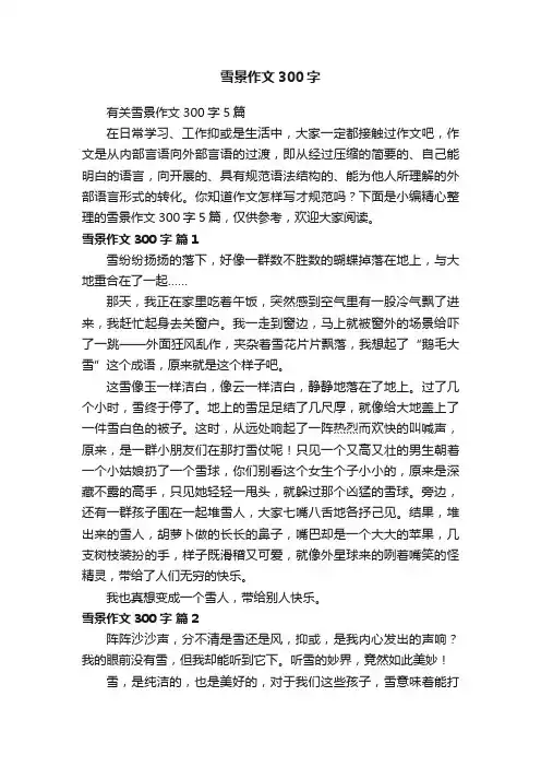 有关雪景作文300字5篇