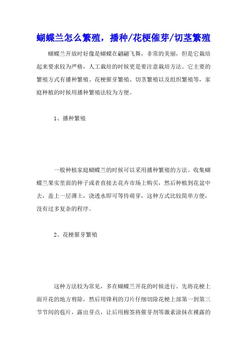 蝴蝶兰怎么繁殖,播种花梗催芽切茎繁殖
