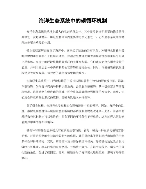 海洋生态系统中的磷循环机制
