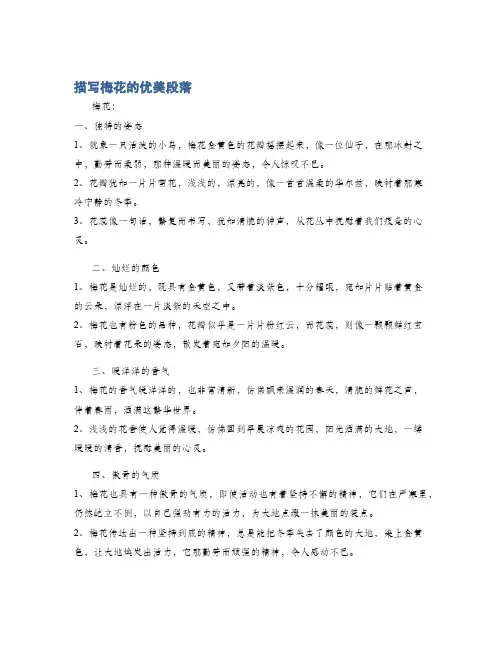 描写梅花的优美段落